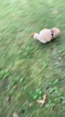 640x1138