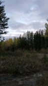 406x720