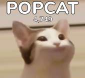 707x654
