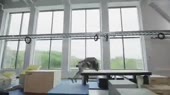 460x258
