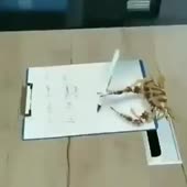 320x320