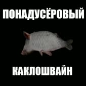 720x720
