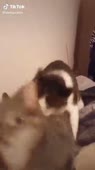 360x640