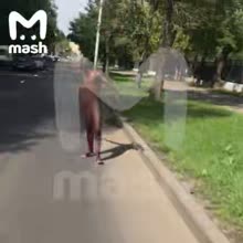 480x480