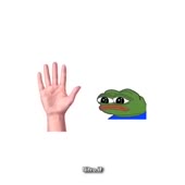 360x360
