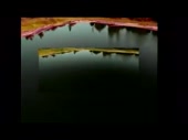 480x360