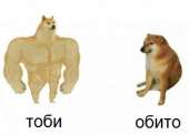 592x425