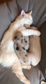 406x720