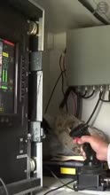 460x816