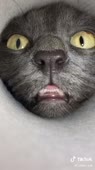 540x960