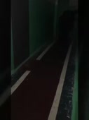 270x360