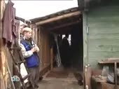 320x240