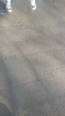 360x640