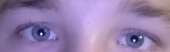 1289x401
