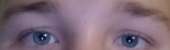 1260x377