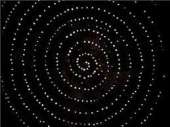 259x194