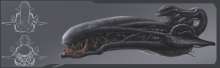 1920x600