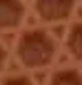 219x228