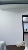 540x960