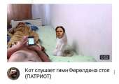 1280x905