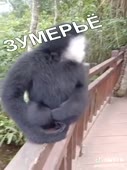 360x480