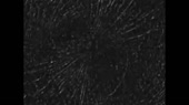 700x392