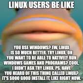 500x500