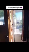 460x816