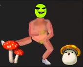 588x480