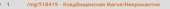 1198x68