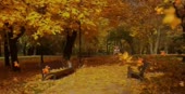 700x360