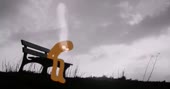 804x424