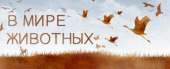 360x148