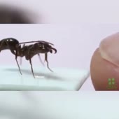 360x360