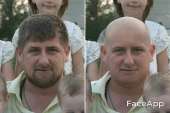 496x331