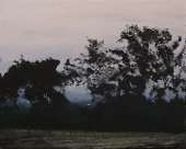 604x484