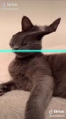 406x720