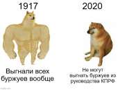 650x500
