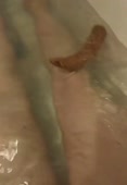 720x1038