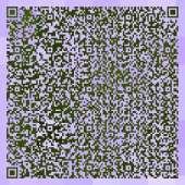 250x250