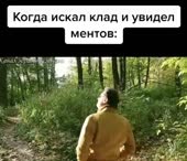 540x466