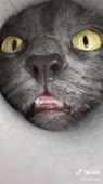 540x960