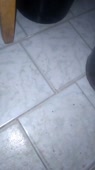 480x854