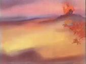 320x240