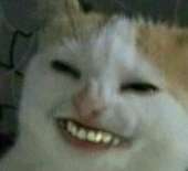 400x366