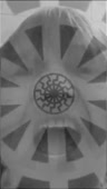 480x844
