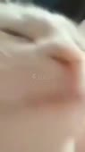 540x960