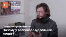 1280x720