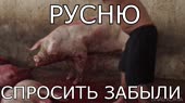 1280x720