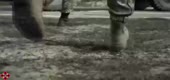 590x280